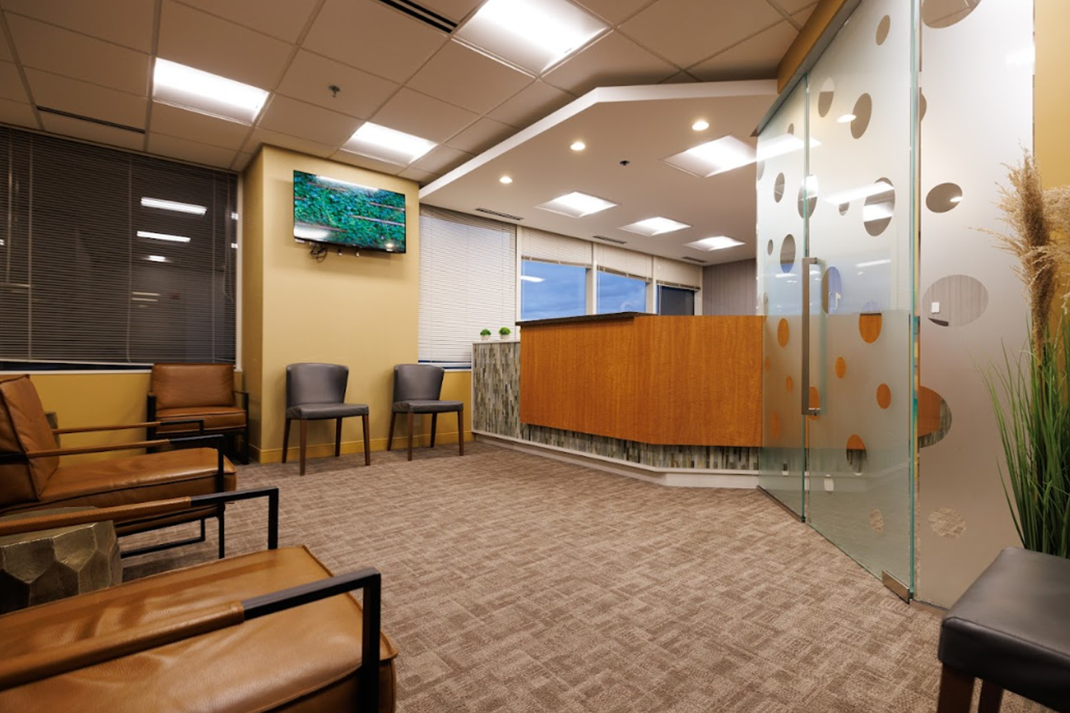 Wynn Dental Wellness